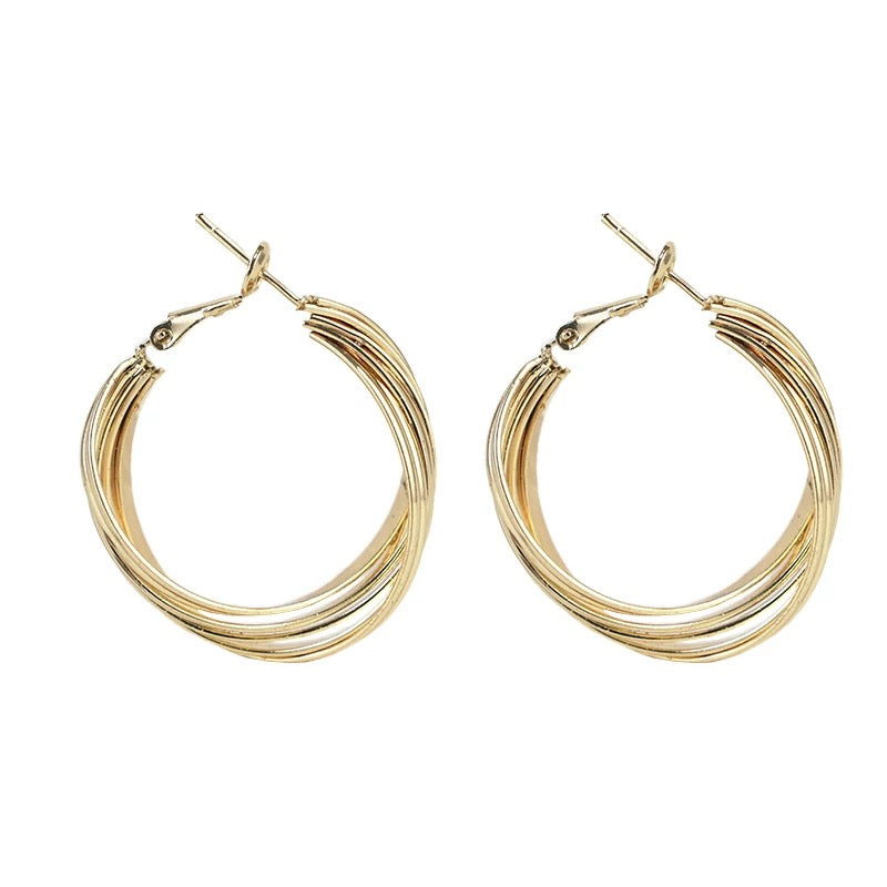 Sculpted Harmony Hoop Earrings