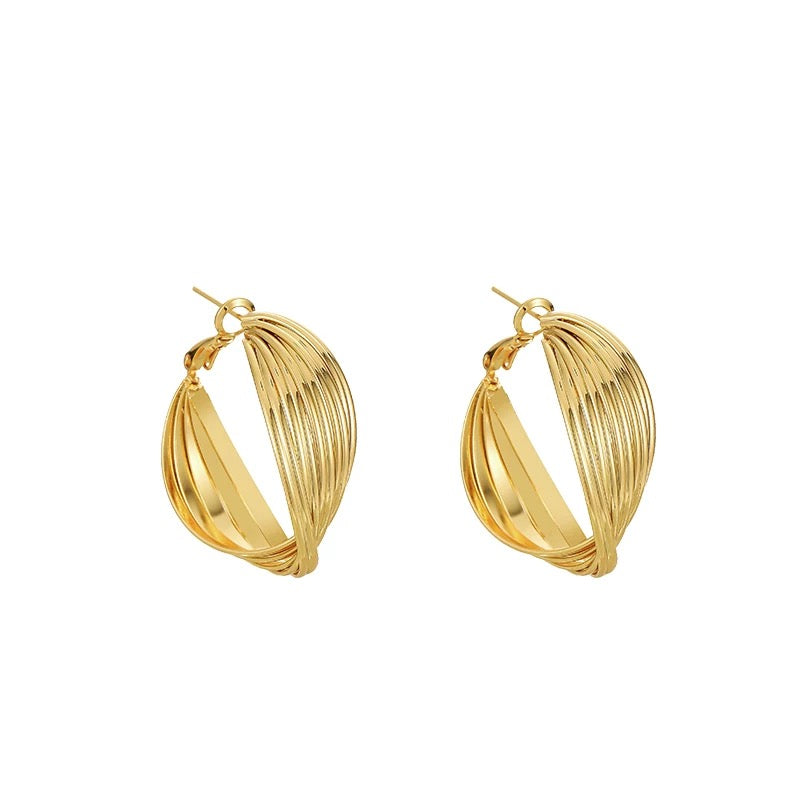 Sculpted Harmony Hoop Earrings