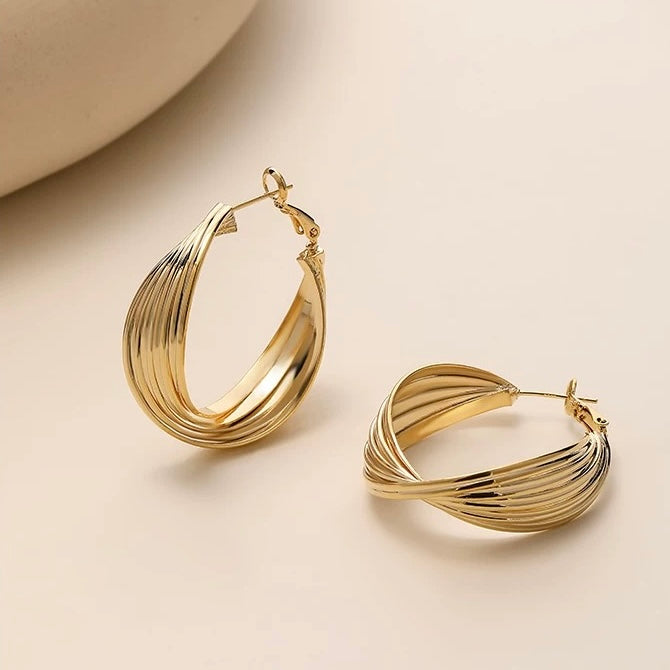 Sculpted Harmony Hoop Earrings