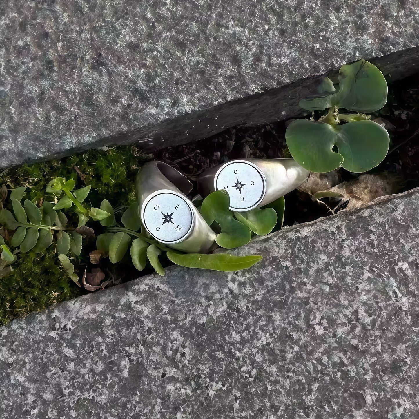 Compass North Ring – Find Your True Direction