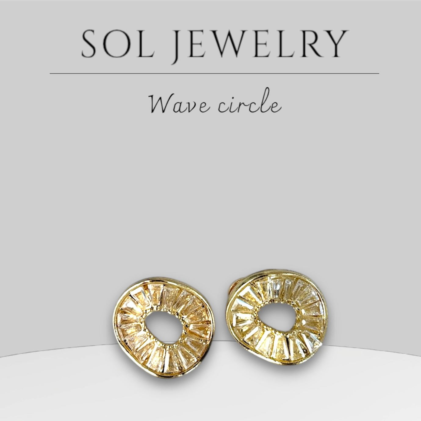 Wave Circle Earrings